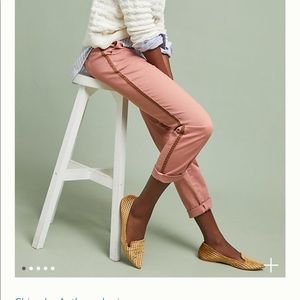 Anthropologie Chinos
